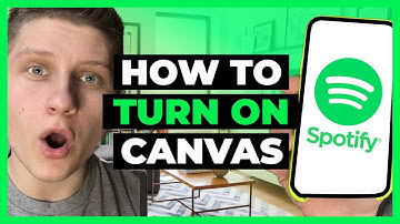 How To Turn On Spotify Canvas