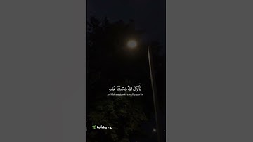 📖 تلاوة عطرة تهز القلوب# شاركه  مع من تحب 🕊️ #قرآن #تلاوة #راحة_القلب