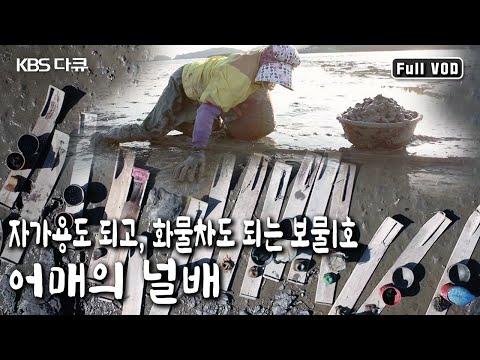 어머니들의 <strong>분신</strong>! 어매의 밥그릇, 널배 (KBS 20181223 방송)
