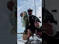 BFS SWIM JIG!