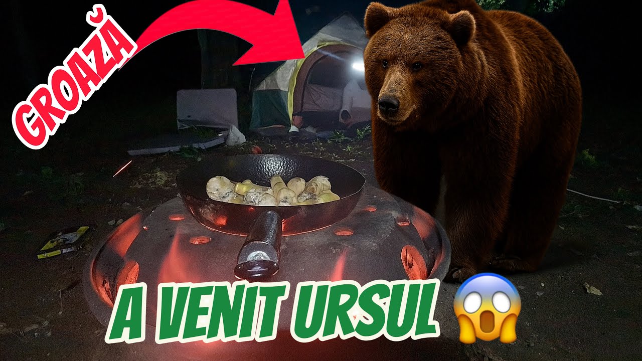 🆘 Costică moare de frică 🚨 Am auzit pași în pădure… era URSUL?!