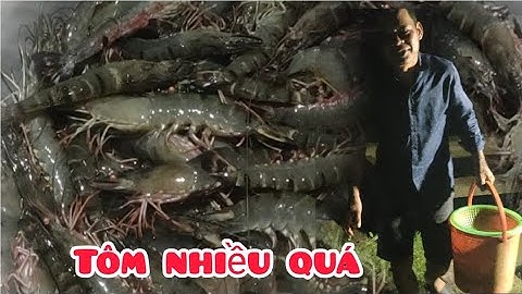 Cách xổ vuông tôm ở năm căn cà mau