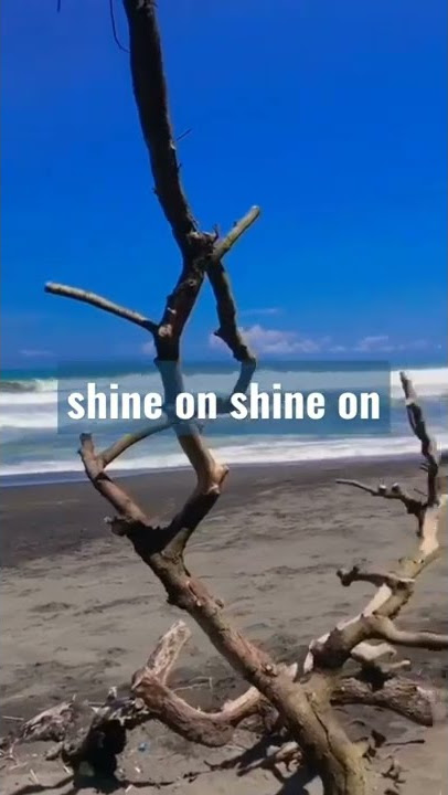 STORY WA TUKANG OJEK: DEWA 19 - SHINE ON