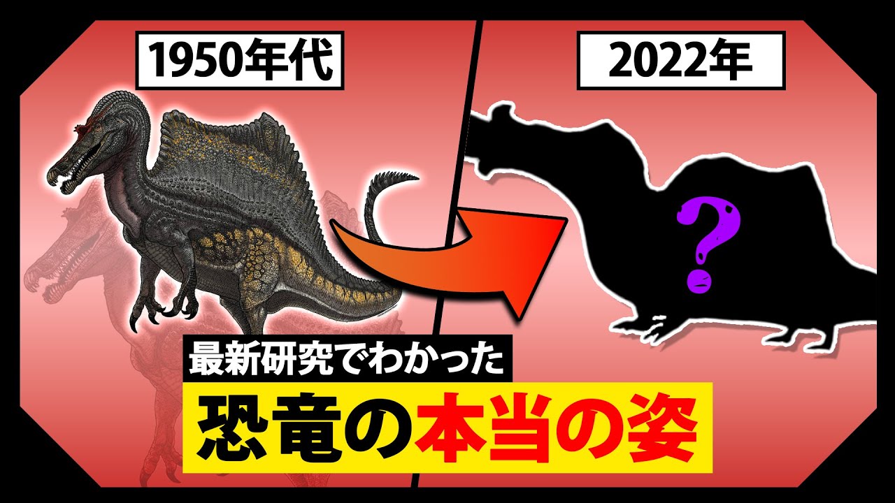 巨大恐竜スピノサウルスの最新研究の復元図がヤバすぎる…意外な狩猟方法が新たに判明【ゆっくり解説】【古代生物】