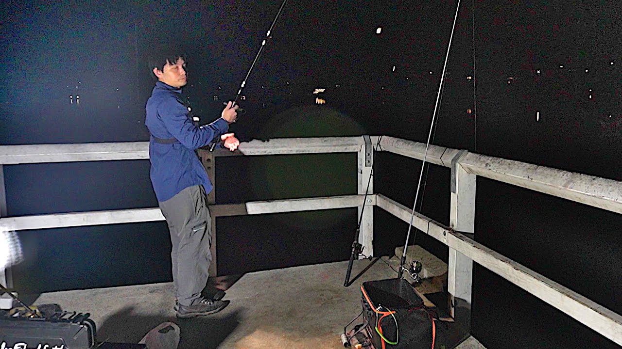 Рыбачим всю ночь на этом причале! Поймаем и приготовим!