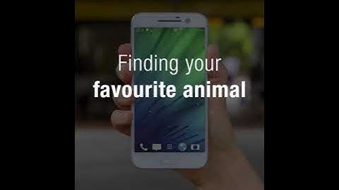 Perth Zoo’s Interactive Map Instructional Video (android)
