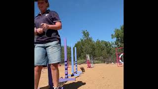 Agility Foundations - Games For Connection With Your Face