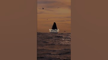 قران كريم﴿وَمَا كَانَ لِنَفْسٍ أَن تَمُوتَ إِلَّا بِإِذْنِ اللَّهِ﴾سورة آل عمران #ياسر_الدوسري