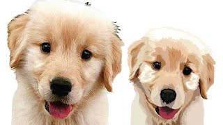 Vector Pet CorelDraw