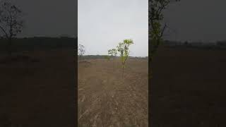 Day 15 FPV Practice | Windy Flying, Rolls & Ground Yaw Spin Landing #fpv #drone #fpvdrone #fpv