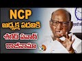 Sharad Pawar Steps Down As NCP President