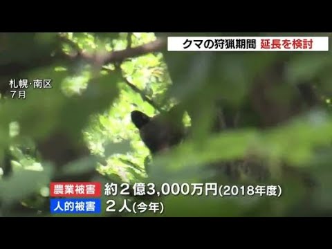 ヒグマ保護管理 狩猟期間の延長など検討北海道 動物愛誤 農業損害 經濟損害 製造車禍 傷人 人身被害 アニマルホーダー 動物囤積症 Animal Hoarding 狂犬病 Youtube ヒグマ保護管理 狩猟期間の延長など検討北海道 動物愛誤 農業損害 經濟損害 製造車禍 傷人 人身被害 アニマルホーダー 動物囤積症 Animal Hoarding 狂犬病 Youtube