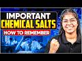 Important Chemical Salts 🧪 Easy Tricks to Remember Forever! | Memory Trick | Class 10 | Aditi Ma'am