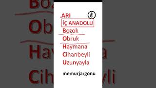 2024 Kpss Memur Jargonu