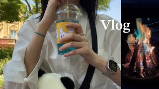 (eng) vlog. 연차내고 판다보러 가는 직장인 브이로그 | 독후감 포스팅 | 서울 근교 글램핑