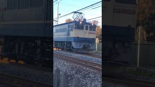 EF65 EF652097 タキ　高崎線　国鉄　特急色　電機機関車　2023年 12月