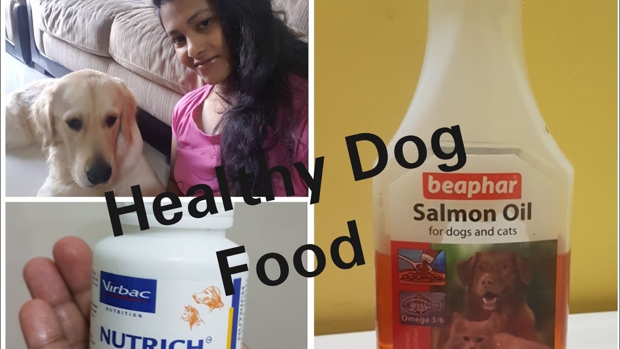 beaphar salmon oil for dogs