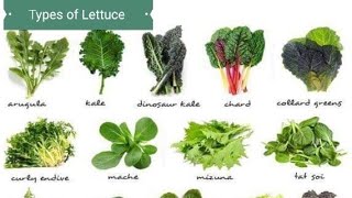 Types of Lettuce, Name of Lettuce, Salad Lettuce, Lettuce Varieties, Hashtag Bon Appetiite