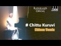 Chittu Kuruvi Song | Chinna Veedu Tamil Movie | K. Bhagyaraj | Ilaiyaraaja