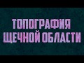 Топография щечной области