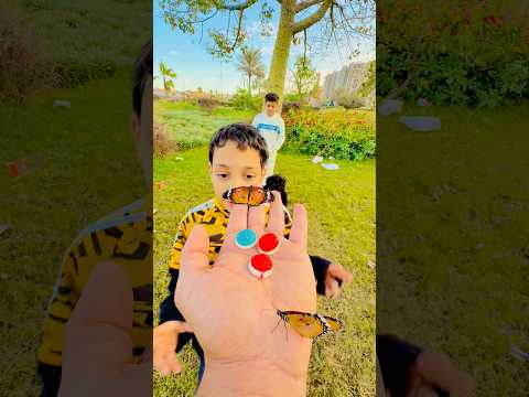 الفراشة الشقية مش مبطل لعب هي وصاحبها واحنا بن صورور