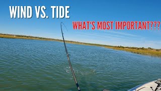 Is Wind Or Tide More Important When Targeting Speckled Trout? screenshot 5