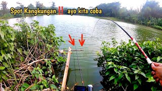 SPOT KANGKUNGAN‼️ TEMPAT FAVORIT NILA BABON BERKUMPUL, AYO COBA MANCING IKAN NILA PAKAI UMPAN LUMUT