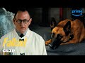 Dr. Wilzig and Dogmeat Escape The Enclave | Fallout | Prime Video