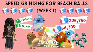 Speed Grinding For Beach Balls (Week 1) | Adopt Me screenshot 4