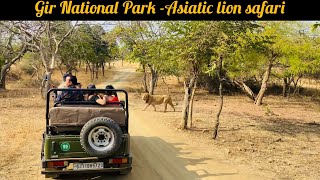 Gir National Park | Asiatic Lion Safari | Only Lion Safari in India