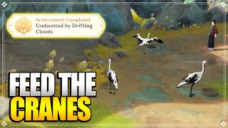 Feed the Cranes | World Quests & Puzzles【Genshin Impact】