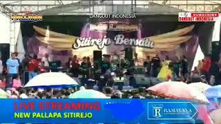 Selow - Ayu Arsita - New Pallapa live Sitirejo Pati