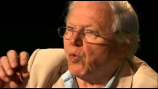 Attenborough on faith