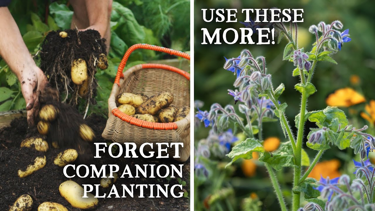 9 Tips For A Wildly Productive Vegetable Garden in 2025