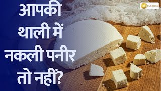 Rising Trend: Analog Paneer Business Booming in the Market