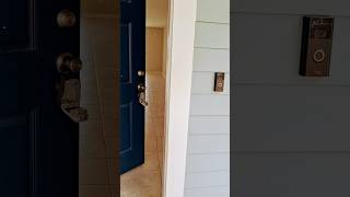 https://www.homes.com/property/324-holly-forest-dr-st-augustine-fl/xh0qw6dc8lvvy/