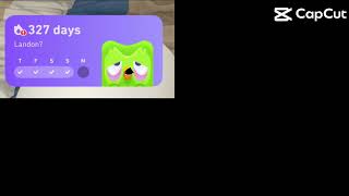 Preview 2 Duolingo
