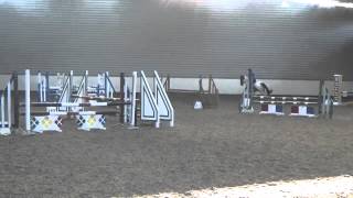 Murphy showjumping course