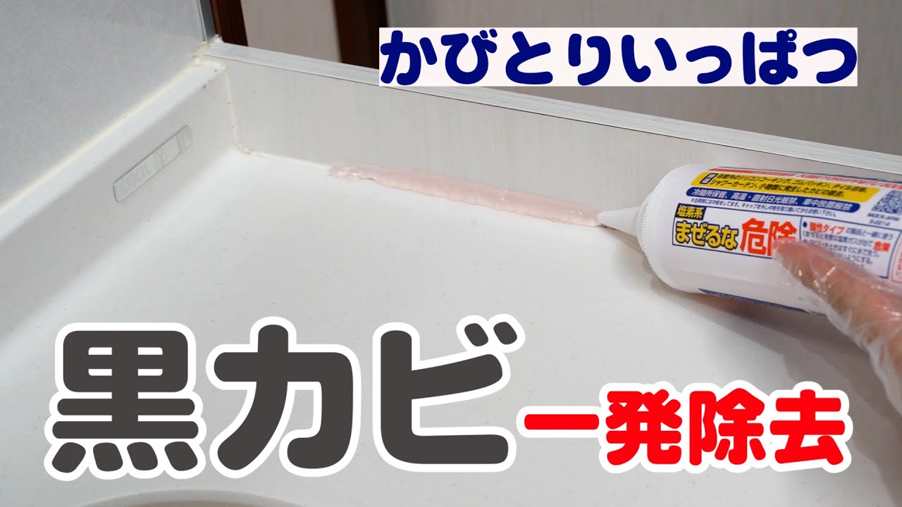 カビ掃除】 頑固な黒カビを一発除去！飛び散りにくいゼリー状 かびとり