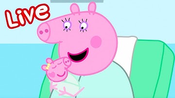 Peppa Pig NEW BABY EVIE Episodes LIVE 🍼 Evie Pig