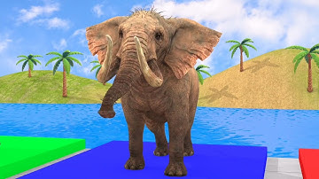 Long Slide Game Funny 3D Animals Race | Tiger vs Elephant vs Gorilla vs Cow vs 3D Slide Animal Game
