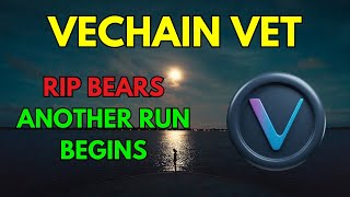 VECHAIN VET Price News Today, Technical Analysis &  Price Prediction 2024/2025