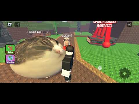 ٢٣ أبريل ٢٠٢٥