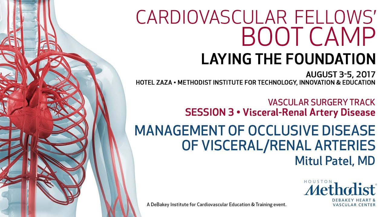 Management of Occlusive Disease of Visceral Renal Arteries (Mitul Patel, MD) education film