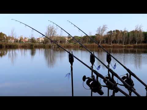 Nash R4 Crazy Carp Run 