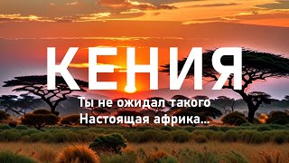 Кения достопримечательности, как попасть и что посмотреть в Найроби и поехать ли на Сафари?