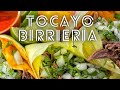 How many birria tacos 🌮 are you eating?!🤔🤤 - Tocayo Birrieria (#shorts)