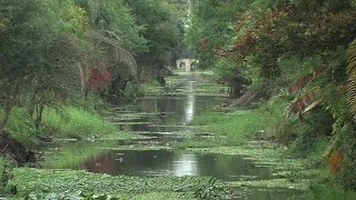 Neighbors not totally on board with flood mitigation plan