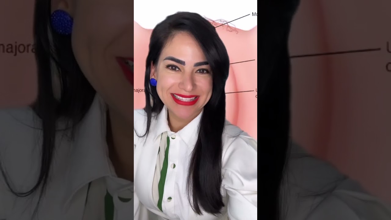 Anatomia da Vulva: você conhece todas as partes?