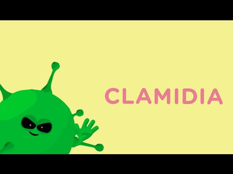 Vídeo: Diferencia Entre Clamidia E Infección Por Levaduras